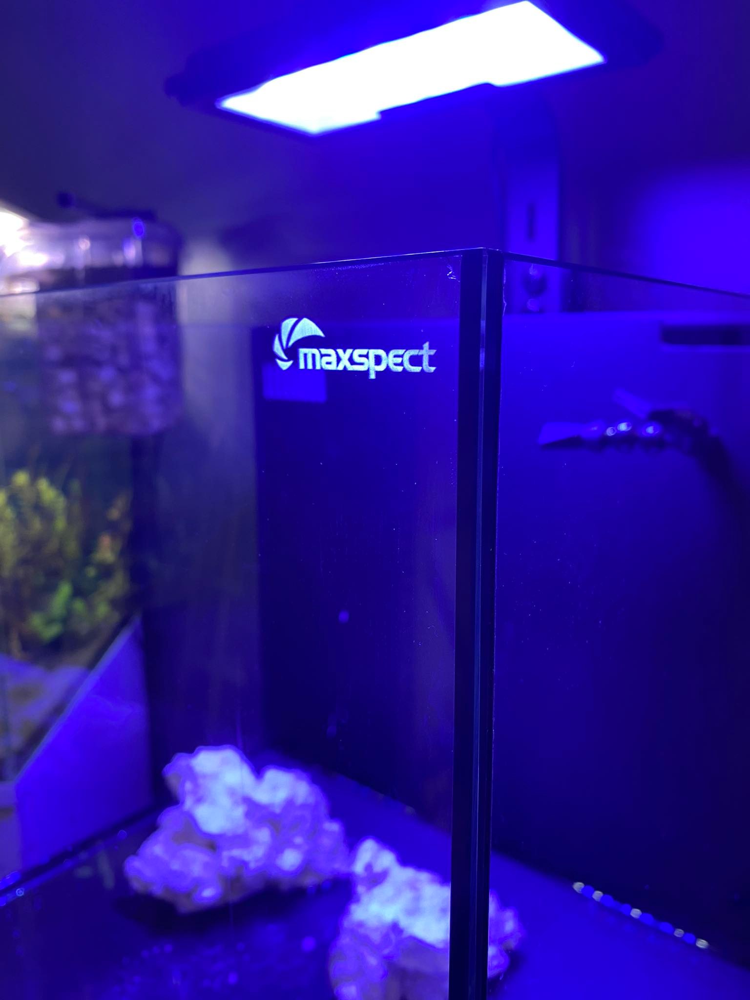 Zestaw akwarium Maxspect Dice AIO Nano Cube + lampa LED Maxspect MJ-L130 - Pierwsze wrażenie
